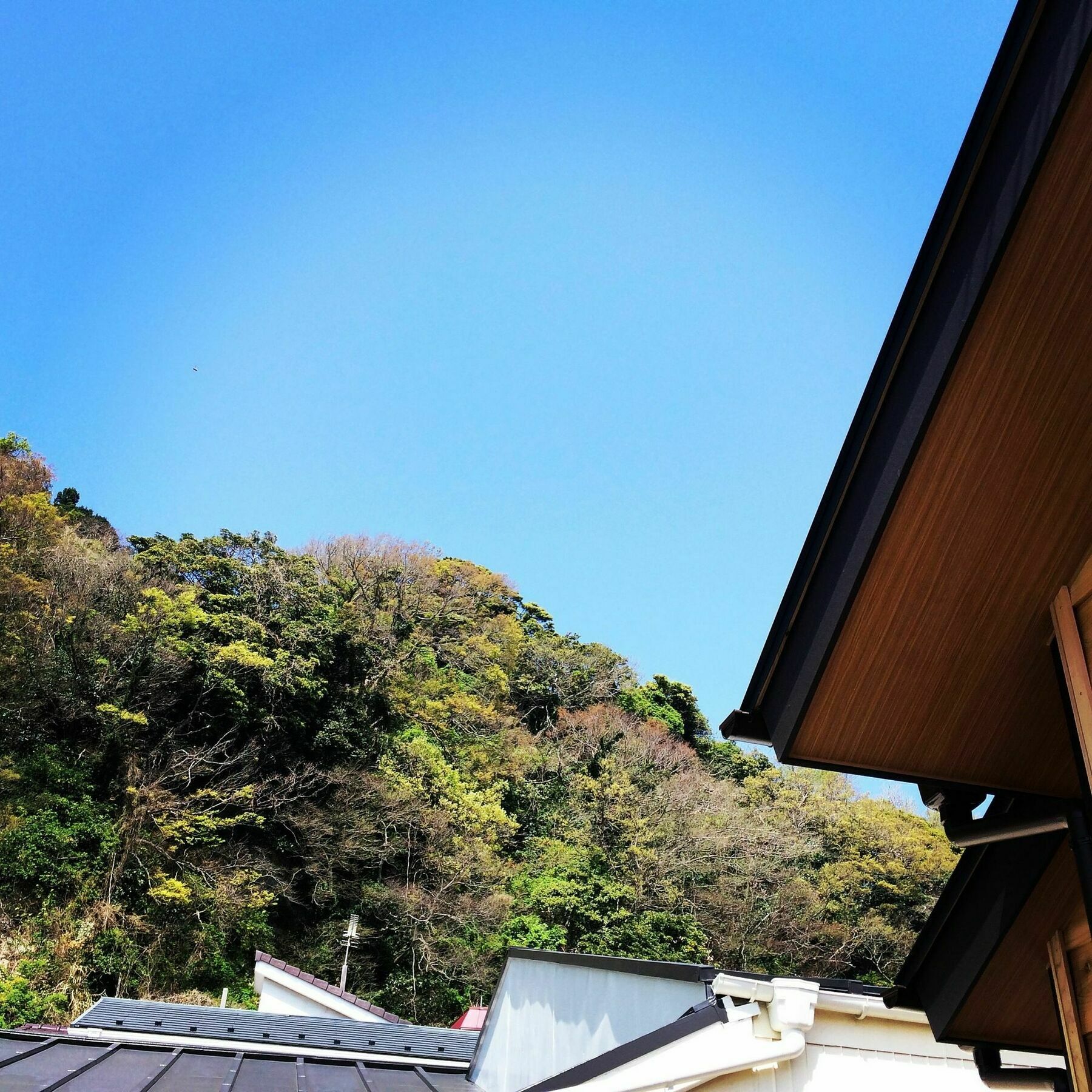 Guest House Kamakura Zen-ji Eksteriør billede