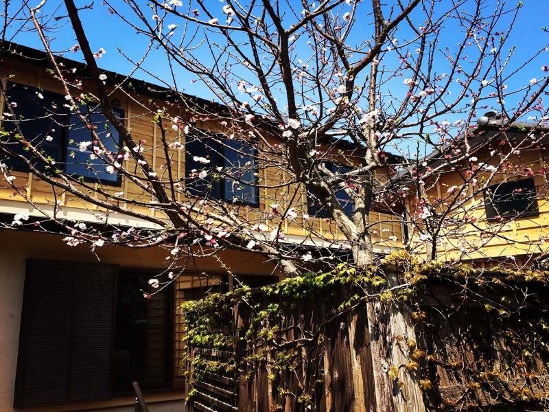 Guest House Kamakura Zen-ji Eksteriør billede